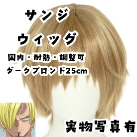 サンジ　ウィッグ　ワンピース　コスプレ　サラサラ　耐熱　国内頭囲25cm【残3】