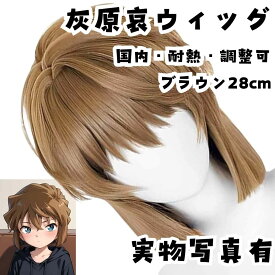 灰原哀 ウィッグ 名探偵コナン 茶 国内 耐熱 調整可 28cm【残3】