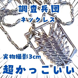 c@lbNX@@@i̋l@3cmyc3z