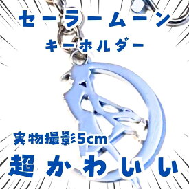 セーラームーン　キーホルダー　銀影　セーラー戦士　国内5cm【残3】