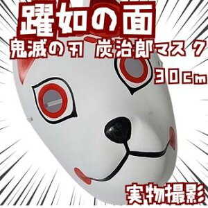 YY@ʁ@Sł̐n@RXv@@̖ʁ@׌^@30cmyc3z