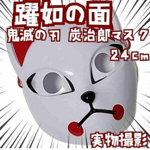 YY@ʁ@Sł̐n@RXv@@̖ʁ@ی^@24cmyc3z