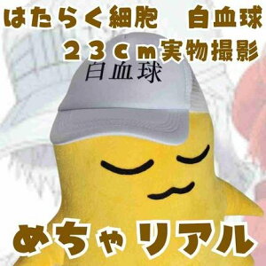 @Xq@͂炭זE@ObY@@23cm@RXvyc3z