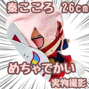 ` ʂ project 傫 26cmyc3z