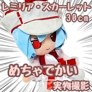 ~A ʂ project 傫 30cmyc3z