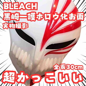 ������@���ʁ@�u���[�`�@�z���E���@�� �R�X�v���@30cm�y�c3�z