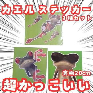 JG@XebJ[@΁@3@Zbg@h@@ԁ@20cmyc3z