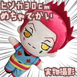 q\J@ʂ݁@n^[@傫@30cmyc5z