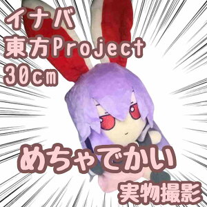 ED܉؉@ECio@ʂ݁@project@傫@30cmyc3z