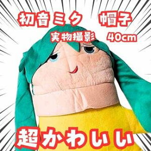 ~N@Xq@VOCALOID@΁@{J@40cmyc3z