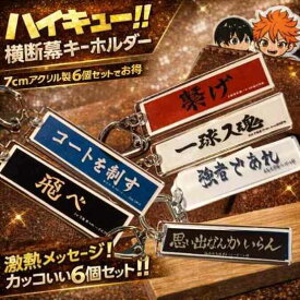 ハイキュー キーホルダー 旗 セット 6種 グッズ 小物 国内7cm 【残5】