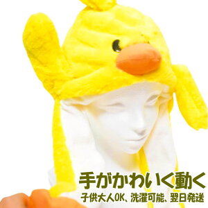 Xq Ђ悱  ʂ `L Ђ RXv qR 蕨  ^C  ̑ 60cm RX`[yiʐ^Lz