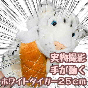 yzpybg ʂ zCg^CK[ Ճg  bp l`  Aj} ct25cm  qlΉ lp j nEB ttyiʐ^Lz