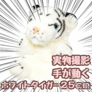 yzpybg ʂ zCg^CK[ Ճg  bp l`  Aj} ct 25cm Op  qlΉ j nEB ttyiʐ^Lz