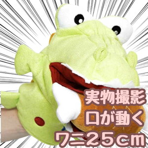 yzpybg ʂ j  O[ bp l`  25cm  qlΉ j nEB ttyiʐ^Lz