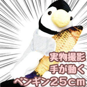 yzpybg ʂ T O[ bp l`  25cm  qlΉ j nEB ܂tyiʐ^Lz