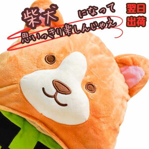 yzXq Č@ʂ RXv 蕨 60cm q剞Ή RX`[ ڂ j nEB v[gܕtyiʐ^Lz