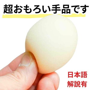 i@}WbN@X|W@܂@@@ng@6cm2y{Lz