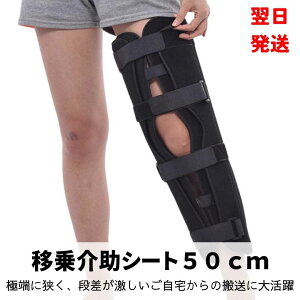 yzGp T|[^[  50cm t[TCY P T|[gyiʐ^Lz