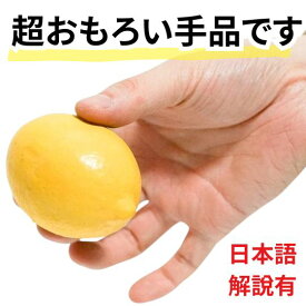 【動画解説有】手品 マジック レモン 食べ物 面白い フルーツ 野菜 爆笑 出現 消失 初心者