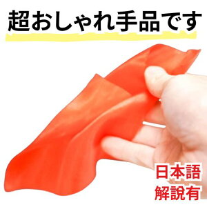 �y�������L�z�V���N ��i �� ���b�h 14cm �}�W�b�N 30�� ���