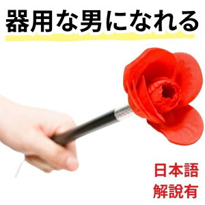 yiObYzi  XebL t[ MO 3{yz