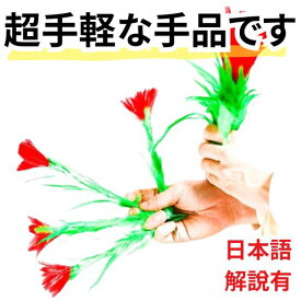 【動画説明有】手品　マジック　次々に増える花　増えるお花　フラワー　分裂　リボン袋付