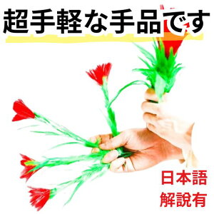 yLziObY@}WbN@Xɑԁ@邨ԁ@t[@@{ܕt