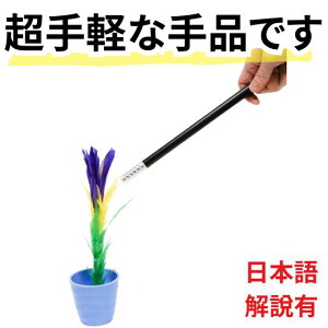 yLzi }WbN XebLtot[ 񂪈uŉԁ@@p[v@2 {ܕt