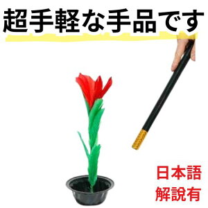 yLzi }WbN XebLtot[ 񂪈uŉԁ@ԁ@bh@2 {ܕt