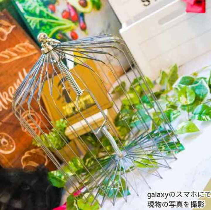 楽天市場】【バードケージ】手品 マジック 鳥かごの出現 シルバー 銀 