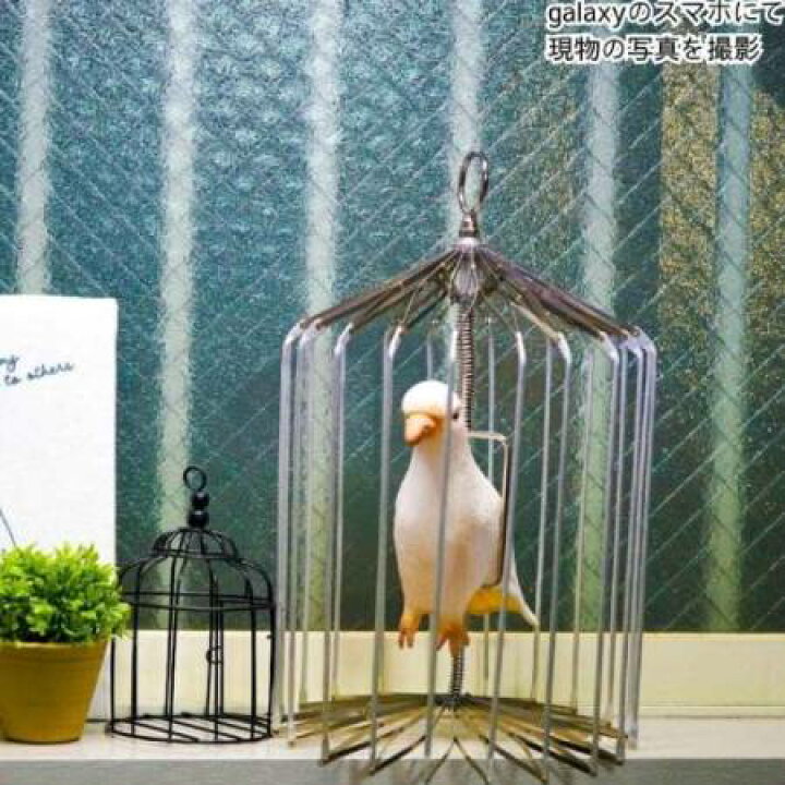 楽天市場】【バードケージ】手品 マジック 鳥かごの出現 シルバー 銀 