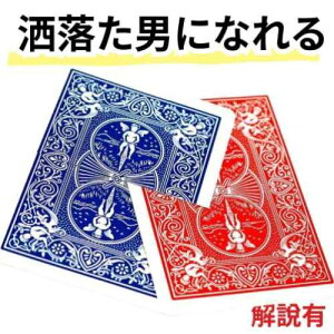 �y��i �}�W�b�N�z�r�W���A���E�J�[�h�X���[�J�[�h �J�b�g�A���h���X�g�A�[�h�J�[�h Cut & Restored Card ���� ���s�^�C�v