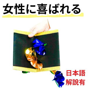 yi }WbNzt[t{[h ԂoȒP  S ȒP ObY