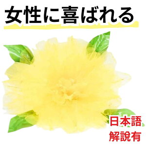 yi }WbNzv_NV t[ o ԑ XvO  CG[ sIj[v_NV