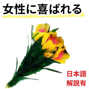 yi }WbNzVԁ@ԁ@RfB}WbN@ʔ