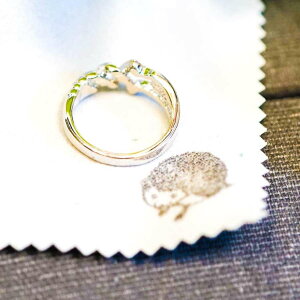 w G@ EVA O ANZT[  Vo[ MkX̑