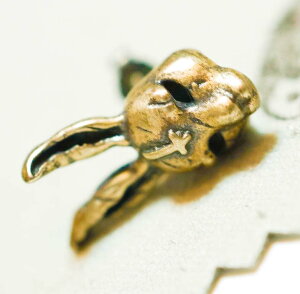 sAX   e Vo[925  fB[X Y ANZT[  ETM