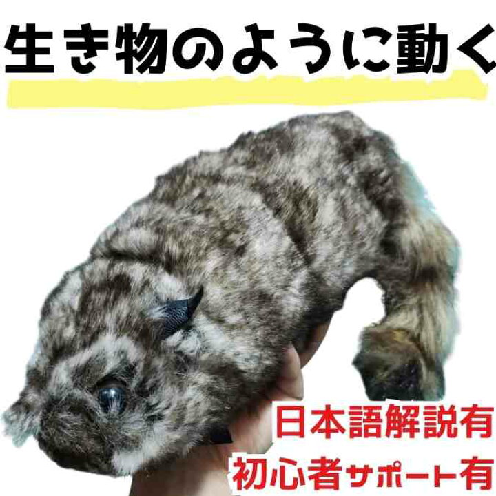 楽天市場】【手品グッズ】ラクーン 手品 マジック アクションアニマル 