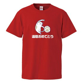 おもしろtシャツ 還暦 文字 ジョーク 還暦おめでとう 猫からのお祝い 還暦祝い 漢字 日本語 面白 半袖Tシャツ メンズ レディース