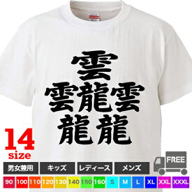 【送料無料 ポスト投函】難しい漢字「だいと」（ホワイト）画数 漢字検定 雲 龍 トップス おもしろ tシャツ 半袖 ギフト プレゼント シンプル ルームウェア パジャマ ジム 大きいサイズ 男女兼用 ペア ファミリー 90 100 110 120 130 140 150 160 S M L XL XXL XXXL