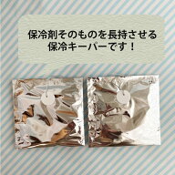 保冷キーパーМサイズ2枚セット【保冷剤が長持ちする新しい保冷袋/おもたせサーモパックです！】熱中症対…