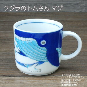 ̃g }O / Jbv H }OJbv NW H Z y