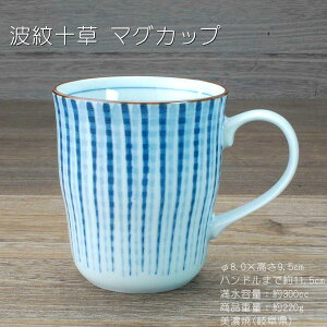 g\ }OJbv / H }O R[q[ 300cc  Z 򕌌 y