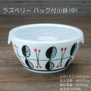 ラズベリー パック小鉢(中) / ノンラップ付 電子レンジ使用可能 -30℃〜+140℃まで使用可能 食器 美濃焼 あす楽