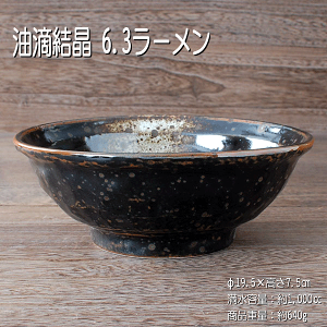 H 6.3[ / H [ ǂ ˔  [ Z cƗp Ɩp