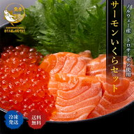いくら サーモン 丼 セット いくら醤油漬け サーモン刺身 海鮮丼 冷凍 送料無料