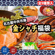 豪華海鮮福袋 9品入り サーモン いくら ネギトロ うなぎ蒲焼 送料無料 冷凍