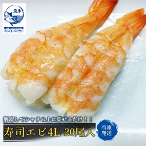 iGr 4L 20 ip  i  XV sushi Gr  CV z[p[eB[ 芪il^