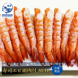  iGr t 8LH 20 i   XV sushi  CV Gr il^ z[p[eB[ Ɩp
